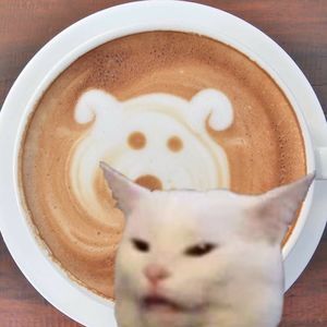 Meet your Posher, Fawn